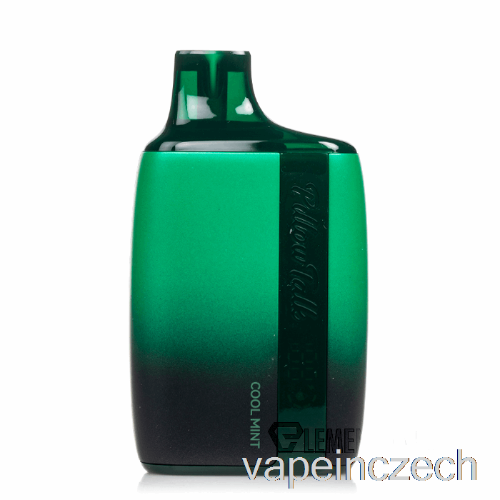 Jednorázové Cool Mint Vape Pero Na Polštář Talk 8500
